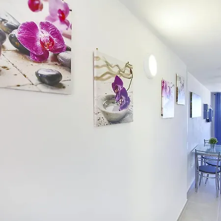 Apartment With Sea View In Borinquen *